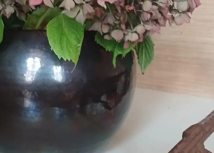 Appartement De Merte Apartment Caen